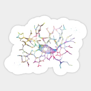 Pigment Cells Sticker